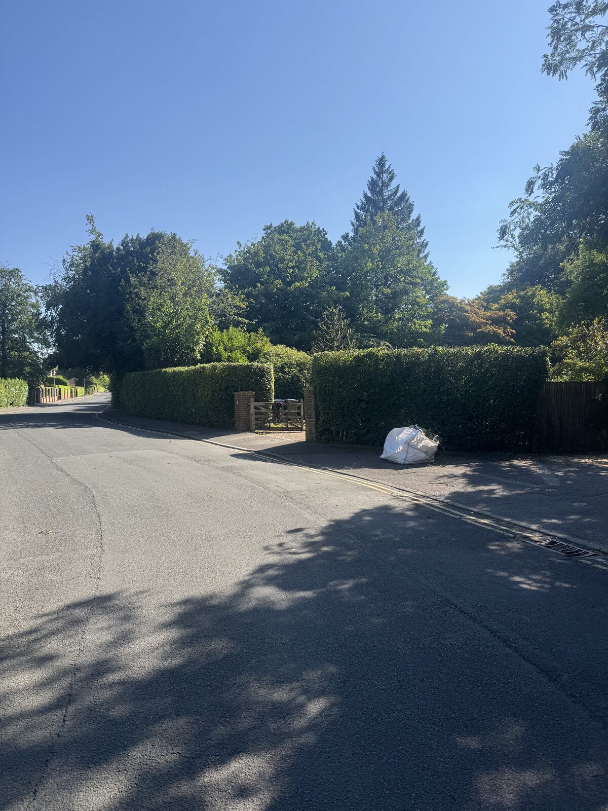 The same roadside hedge after reduction, cut back to a neat squared profile with the arisings bagged for removal