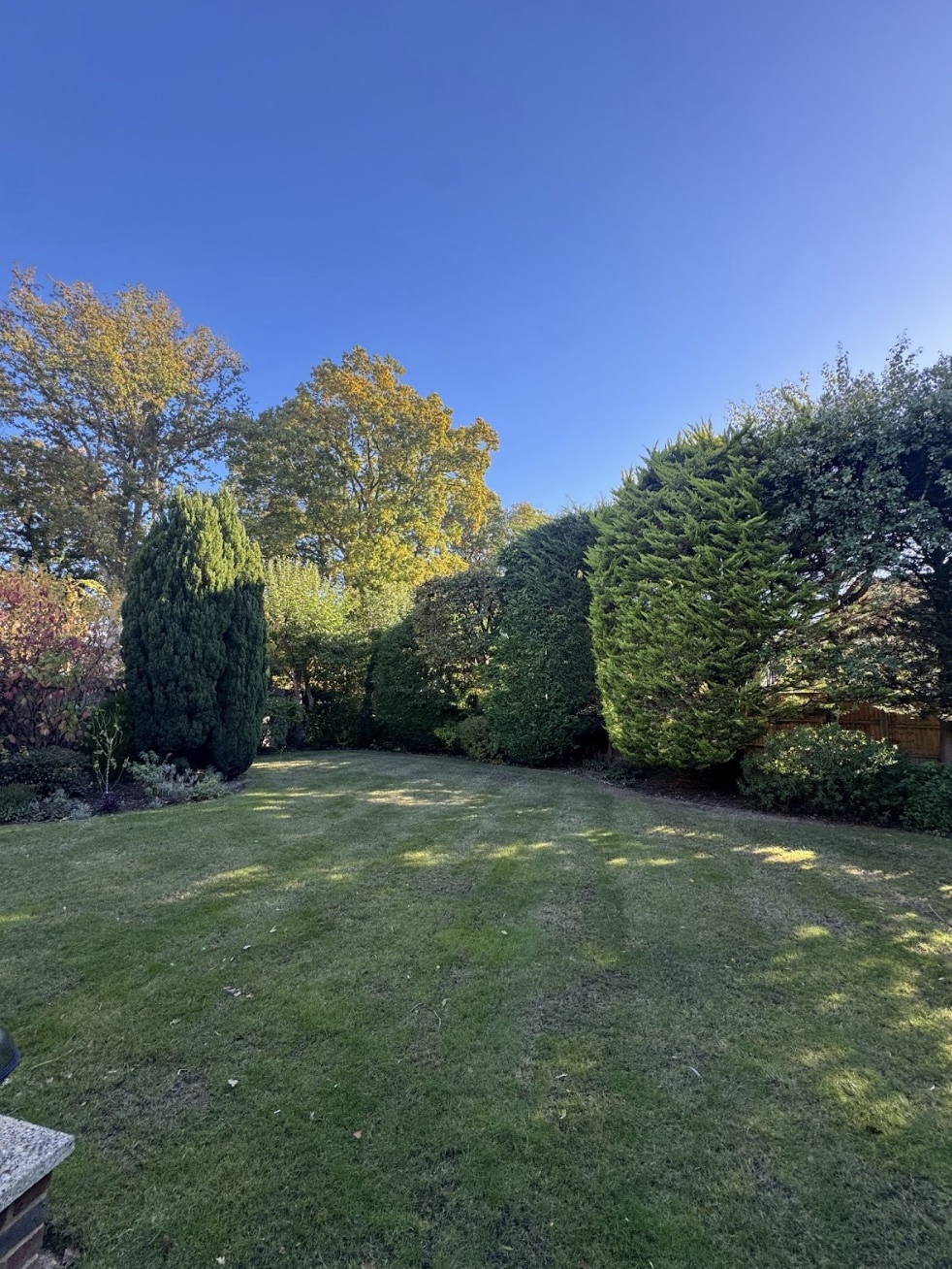 Tidy garden highlighting our work