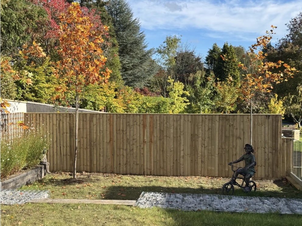 Tidy garden highlighting our work