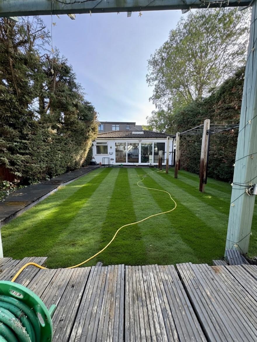 After lawn and scaping photo